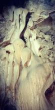 पूर्वखोला -२ जल्पा सकिनेको गुफामा  भेटिए  अनौठा  भिविन्न जनावरको आकृतिहरु 